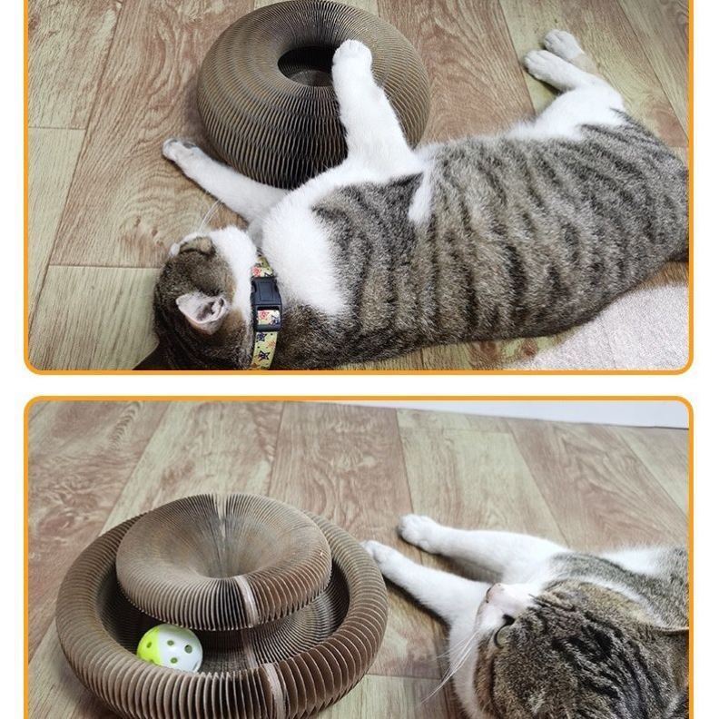 Magic Organ Cat Scratch Board – Fun & Durable Play Toy for Cats