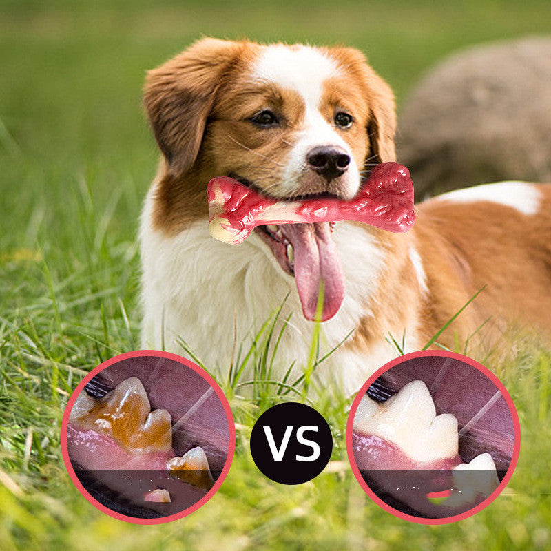 Durable Rubber Dog Chew Toy – Bone-Shaped Molar Stick for All Breeds